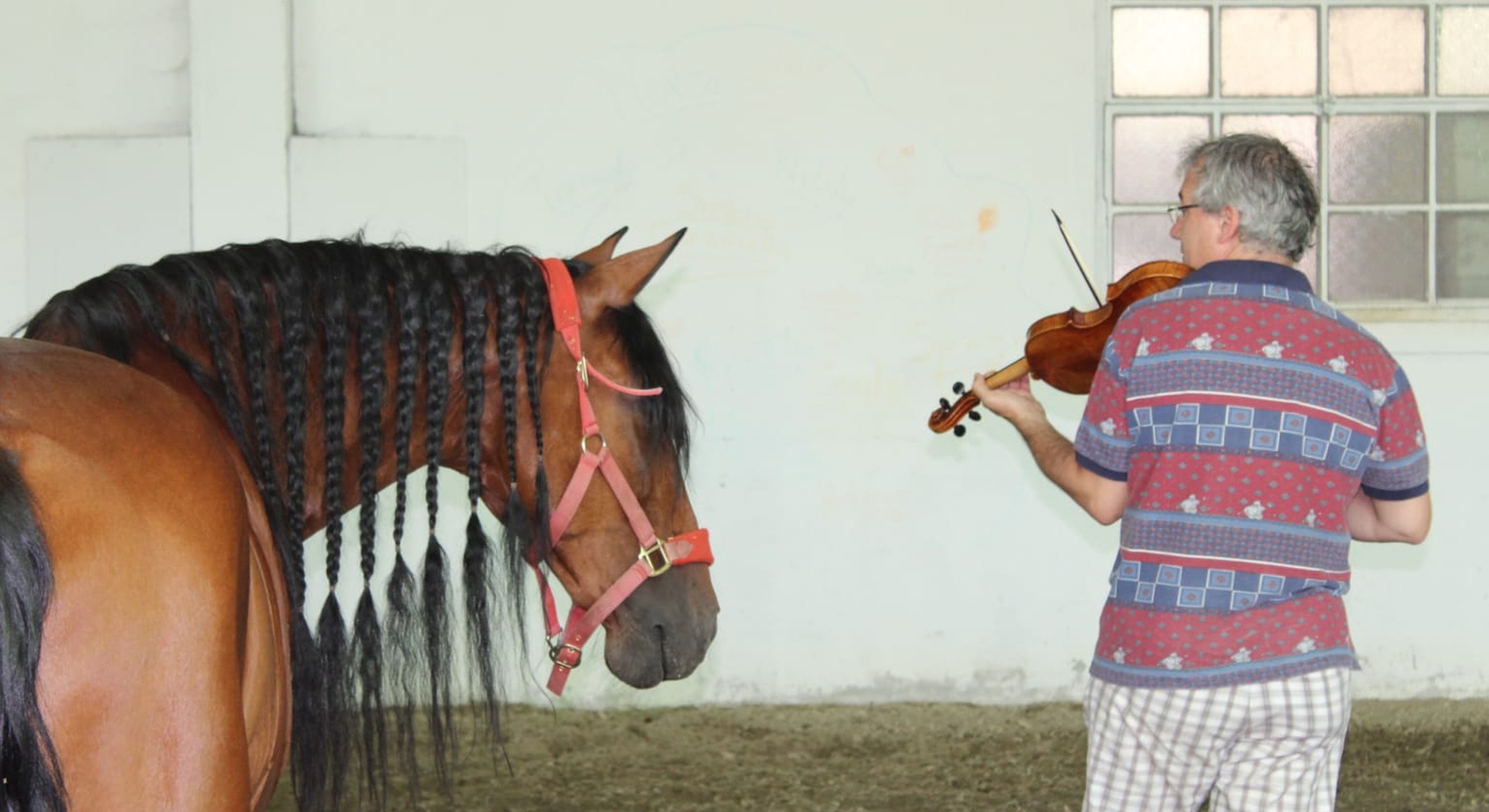Musical Horsemanship