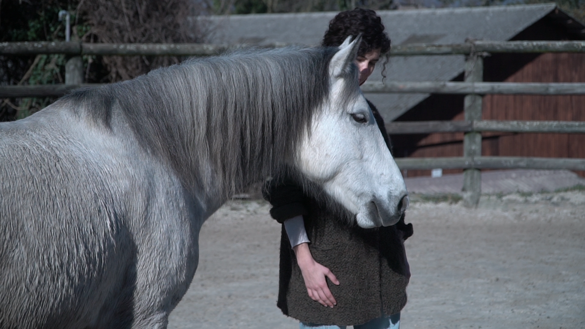 Cercando l'Empatia 2