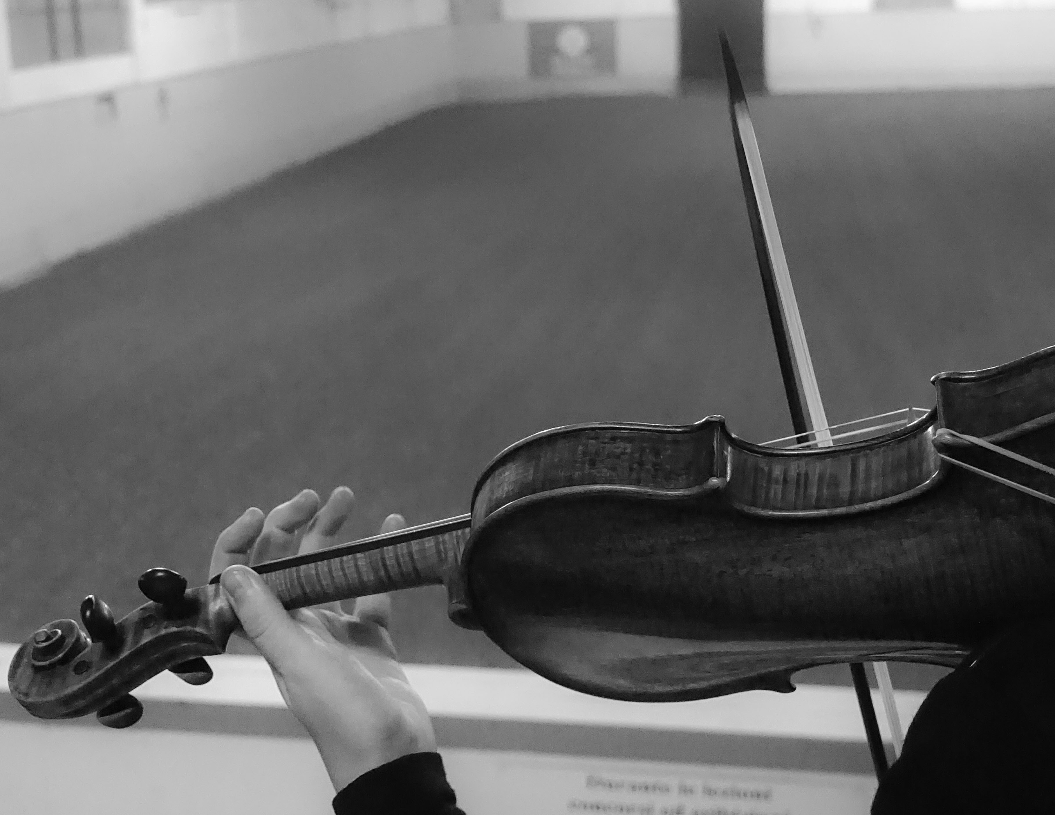 Improvvisazione su dressage 1